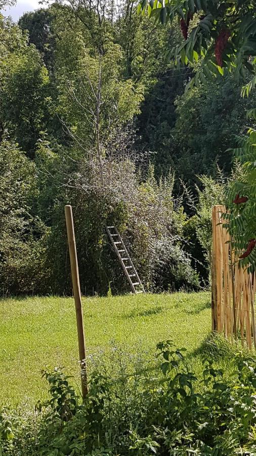 Appartamento Le Marais Des Littes Chonas-lʼAmballan Esterno foto