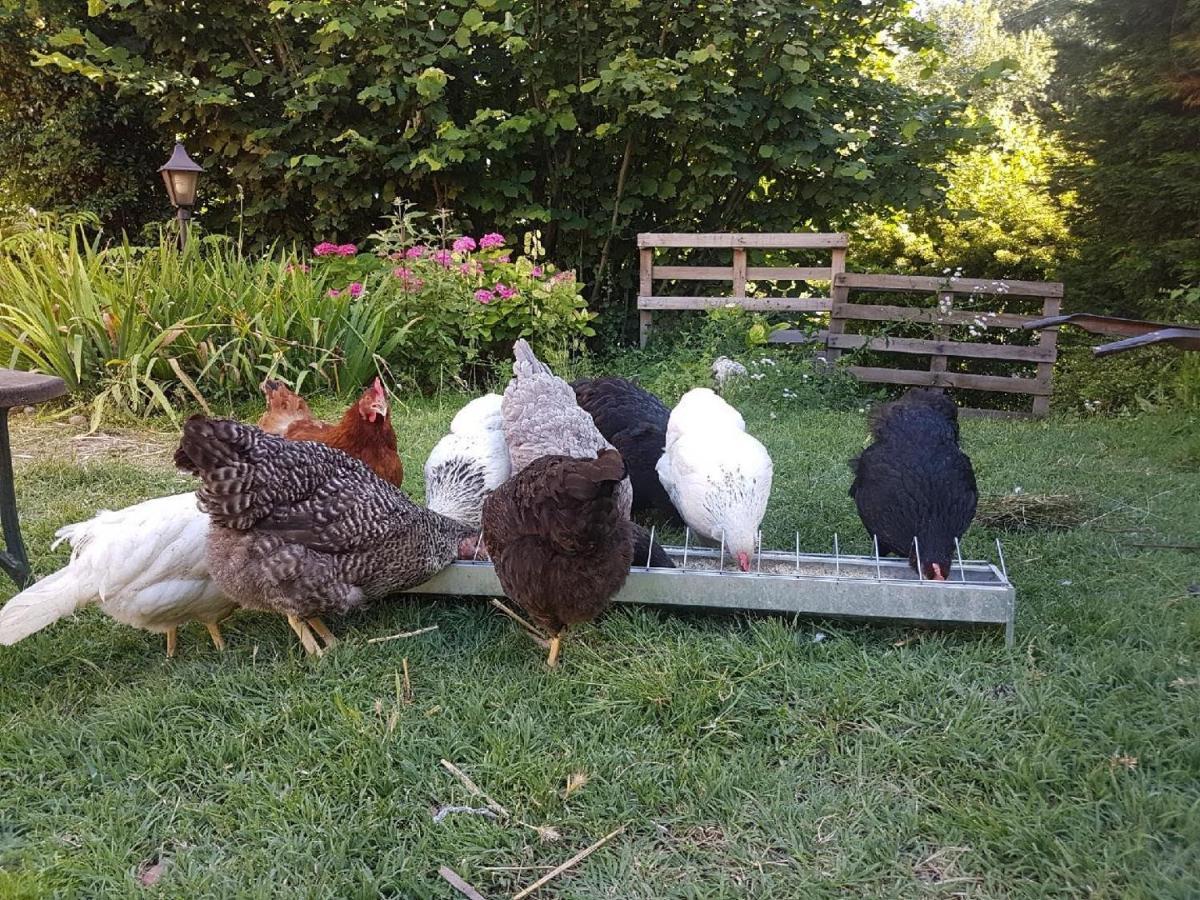 Appartamento Le Marais Des Littes Chonas-lʼAmballan Esterno foto